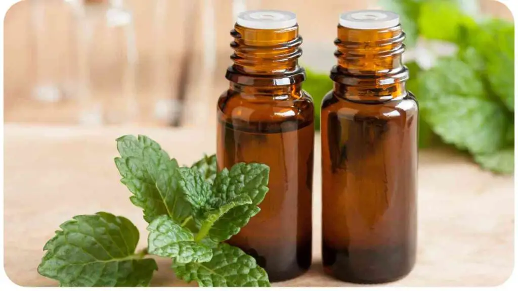 Choosing the Right Essential Oils for Your Massage